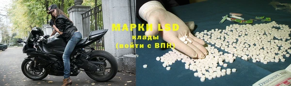 ПСИЛОЦИБИНОВЫЕ ГРИБЫ Надым